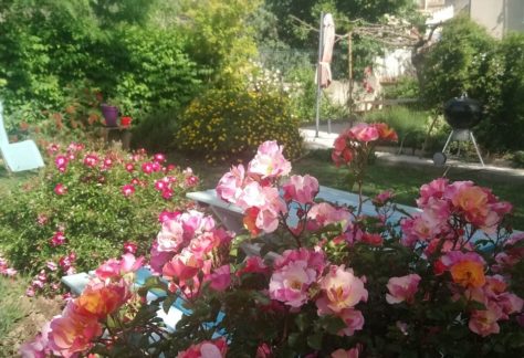 jardin fleuri